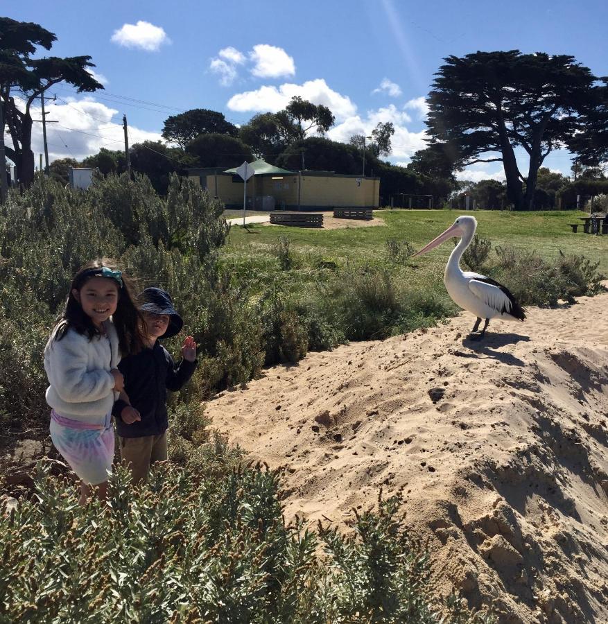 By The Bay Short Stays Private Suite 1 To 4 Days St Leonards Extérieur photo